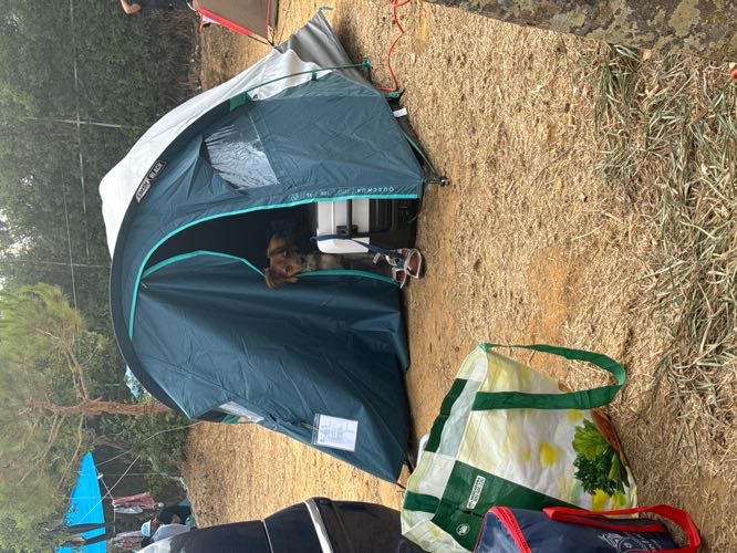 Foto de Camping en Friendog