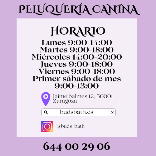 Foto de Peluquerías en Friendog