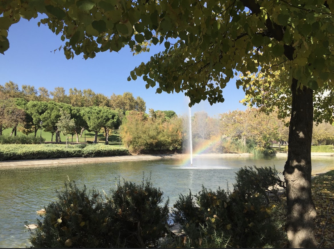 Foto de Parques en Friendog