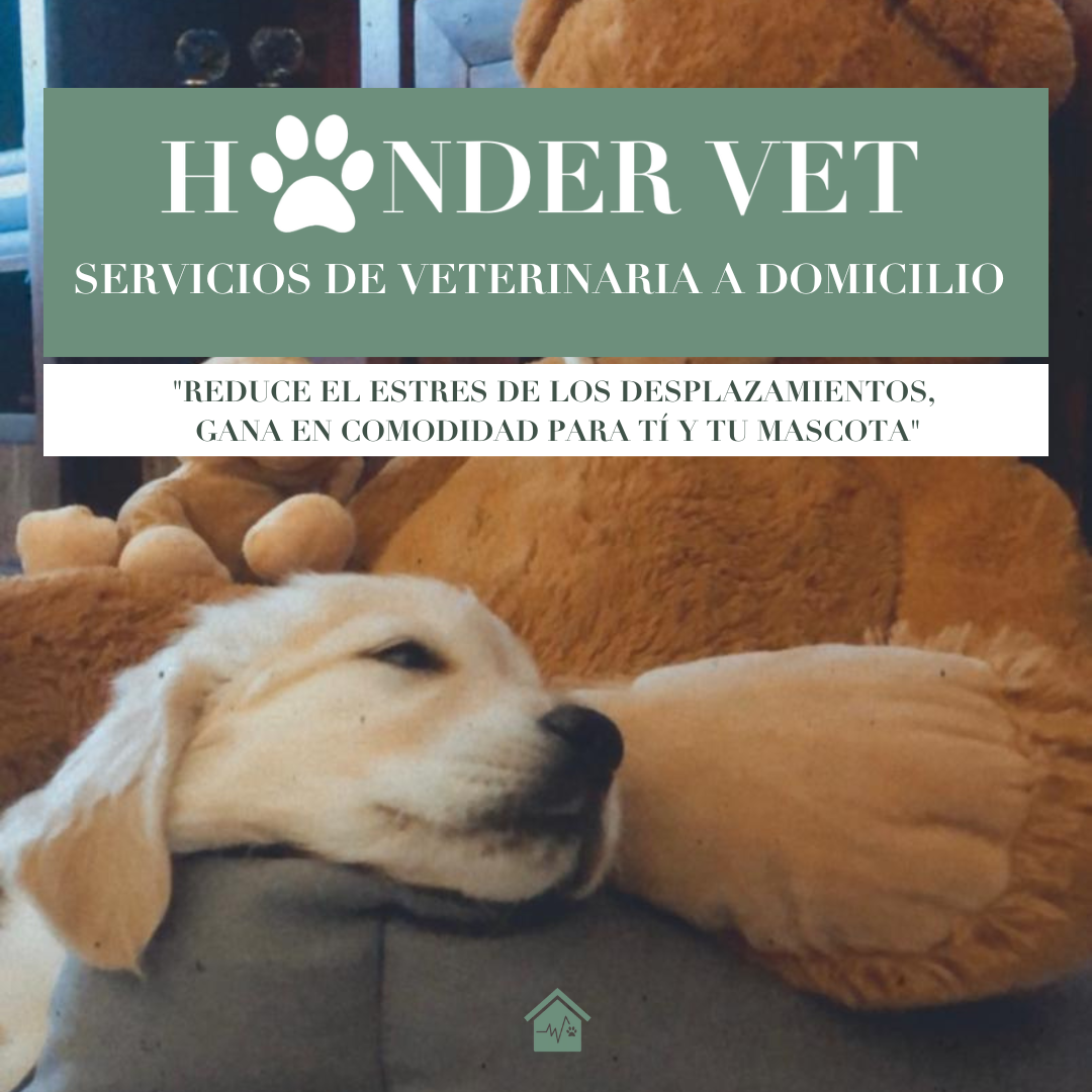Foto de Veterinarios en Friendog