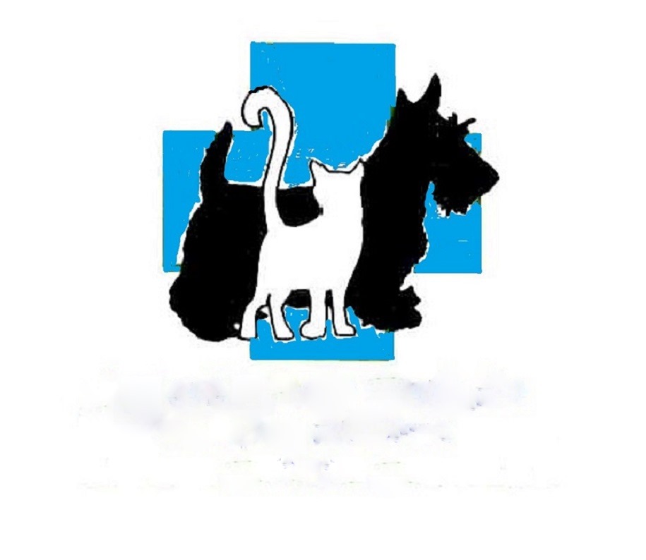 Foto de Veterinarios en Friendog