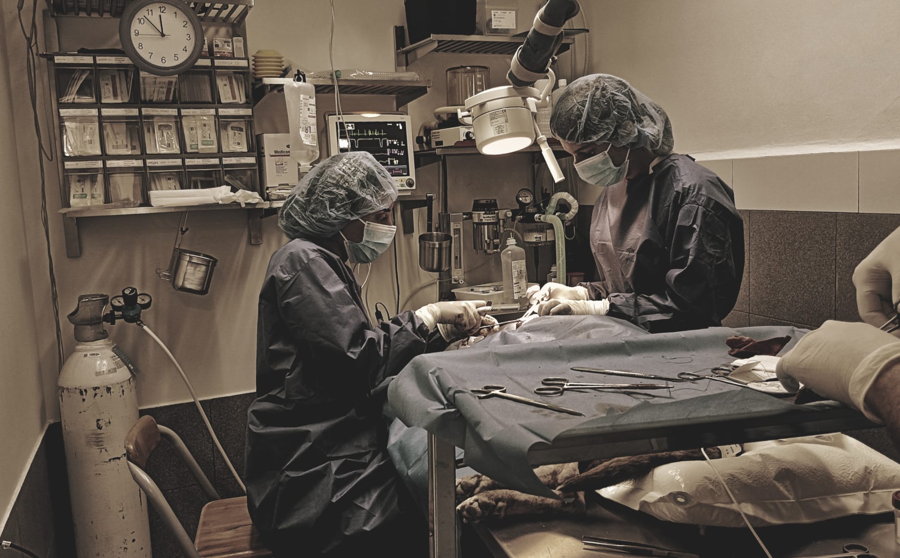 Foto de Veterinarios en Friendog