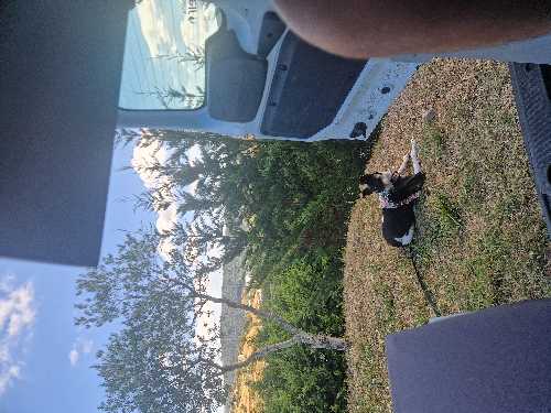 Foto de Camping en Friendog