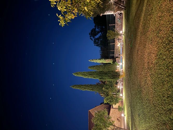 Foto de Hoteles dog-friendly en Friendog