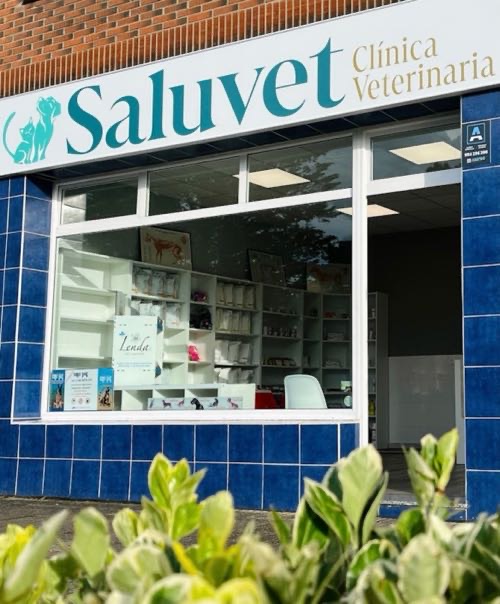 Foto de Veterinarios en Friendog