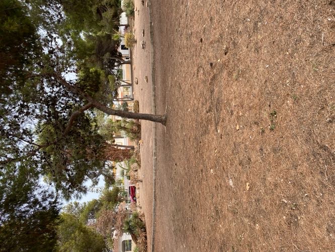 Foto de Parques en Friendog