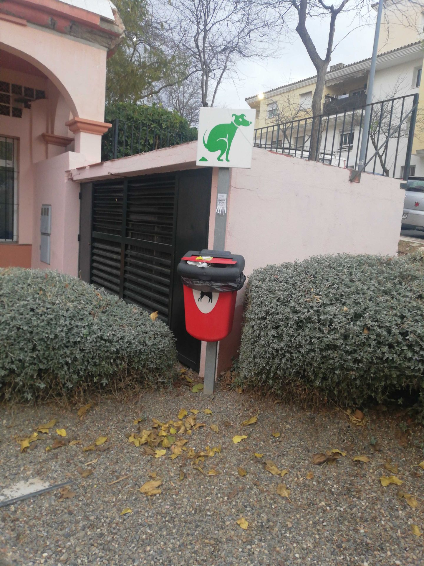 Foto de Pipican en Friendog
