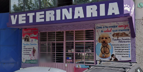 Foto de Veterinarios en Friendog