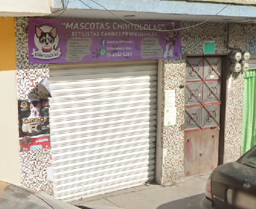 Foto de Peluquerías en Friendog