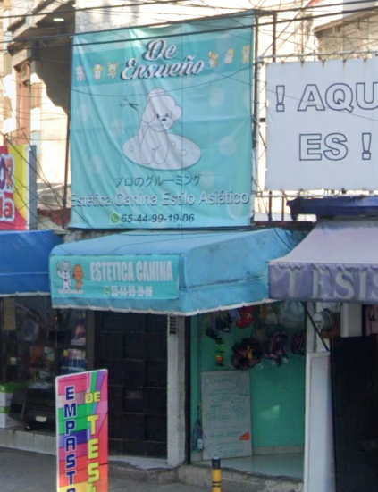 Foto de Peluquerías en Friendog