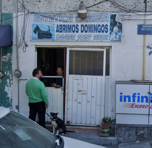 Foto de Peluquerías en Friendog