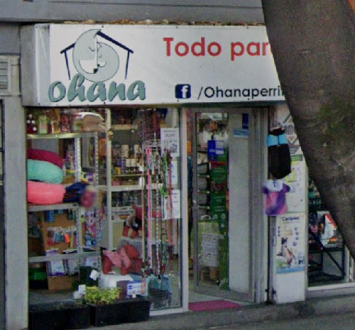 Foto de Peluquerías en Friendog