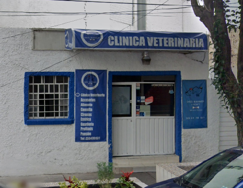 Foto de Peluquerías en Friendog