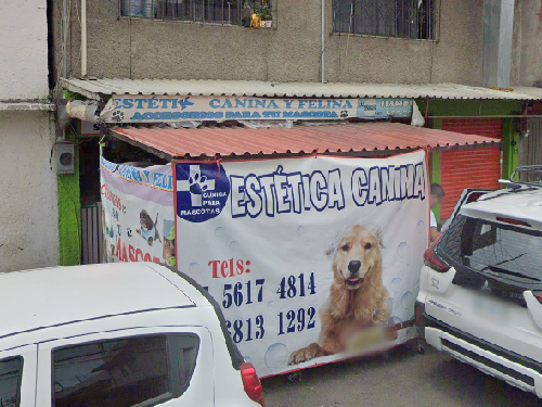 Foto de Peluquerías en Friendog
