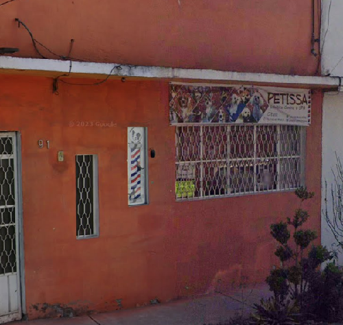 Foto de Peluquerías en Friendog