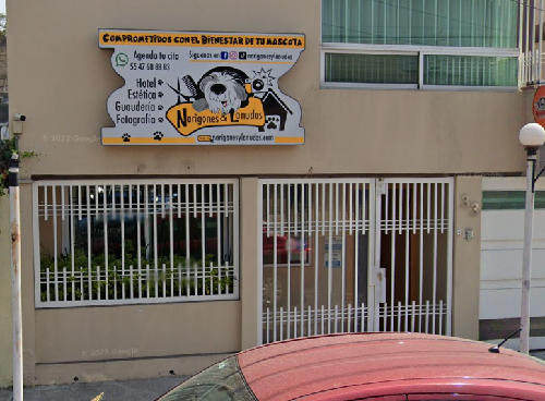 Foto de Peluquerías en Friendog