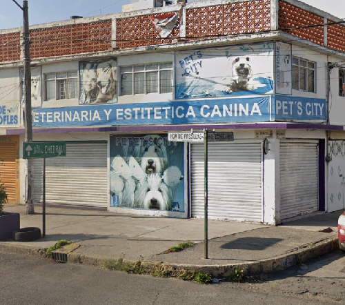 Foto de Veterinarios en Friendog