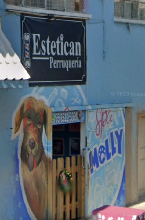 Foto de Peluquerías en Friendog