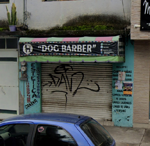 Foto de Peluquerías en Friendog