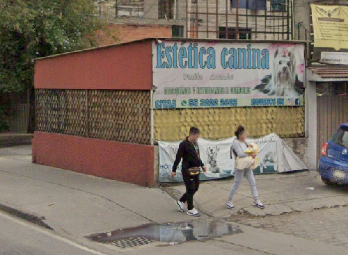 Foto de Peluquerías en Friendog