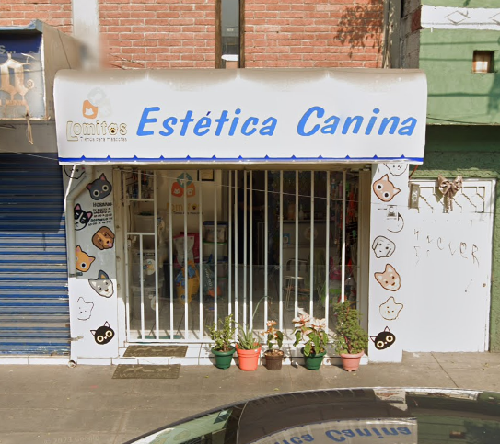 Foto de Peluquerías en Friendog