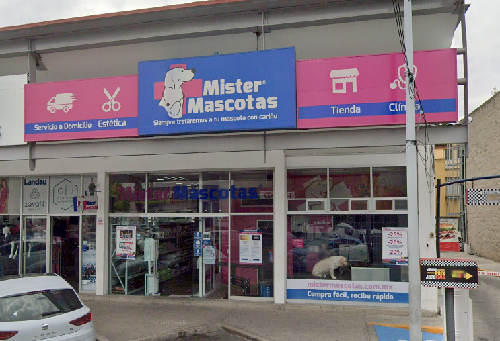 Foto de Veterinarios en Friendog