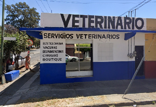 Foto de Veterinarios en Friendog