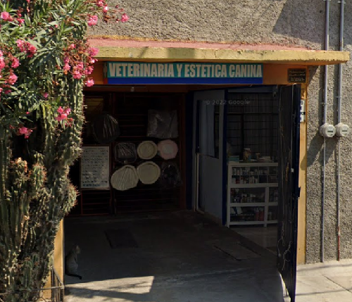 Foto de Veterinarios en Friendog