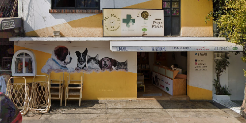 Foto de Veterinarios en Friendog