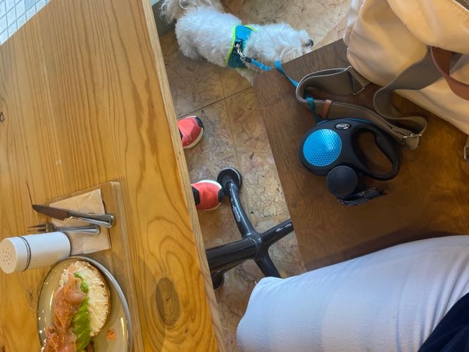 Foto de Cafetería en Friendog