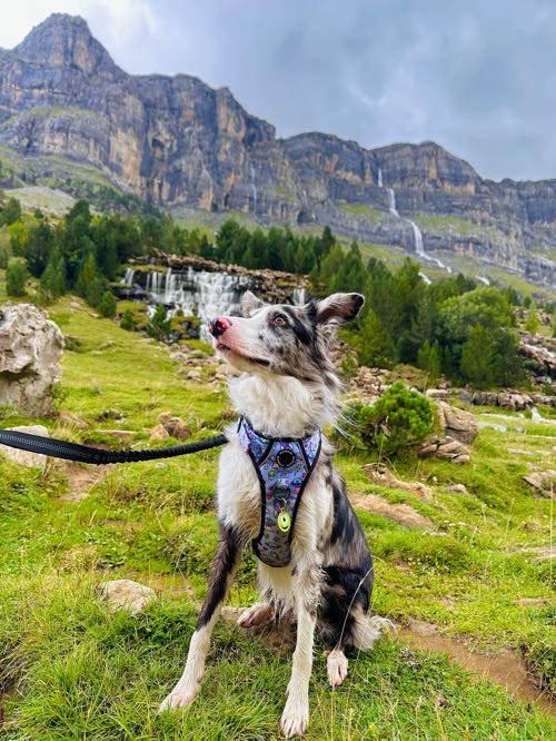Foto de Rutas en Friendog