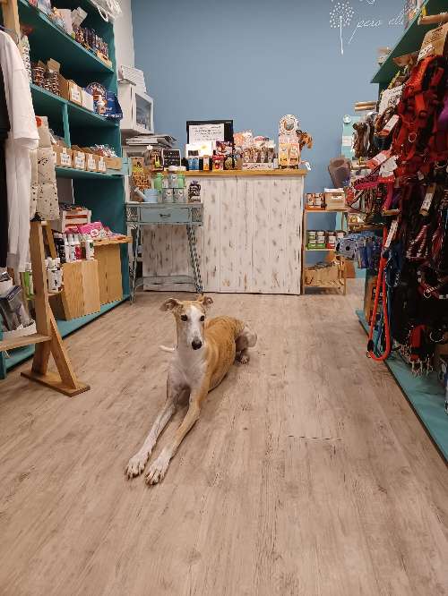 Foto de Centros Comerciales en Friendog