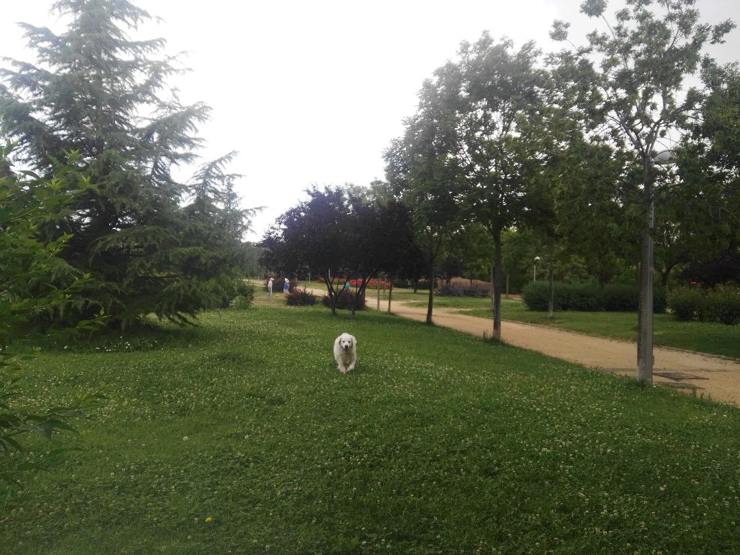 Foto de Parques en Friendog