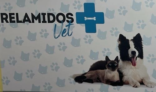 Foto de Veterinarios en Friendog
