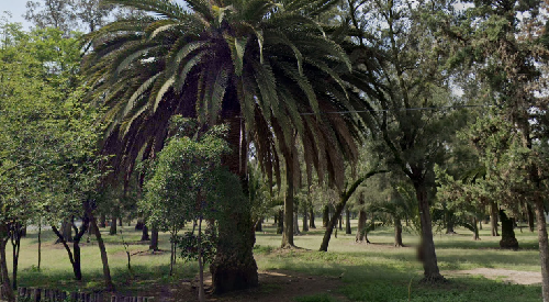 Foto de Parques en Friendog