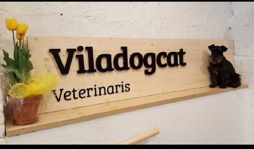 Foto de Veterinarios en Friendog