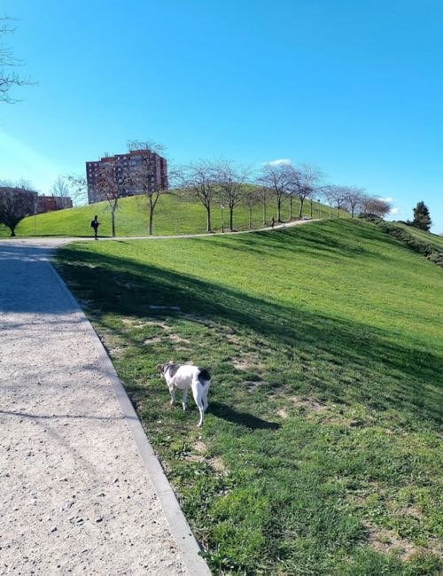 Foto de Parques en Friendog