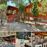 Foto de Otros. en Friendog