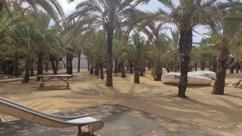Foto de Parques en Friendog