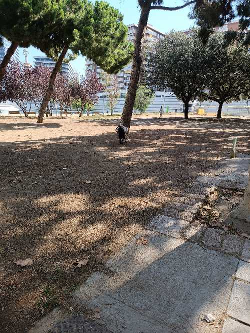 Foto de Parques en Friendog