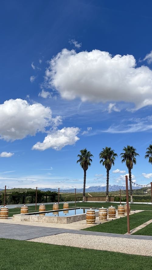 Foto de Hoteles dog-friendly en Friendog