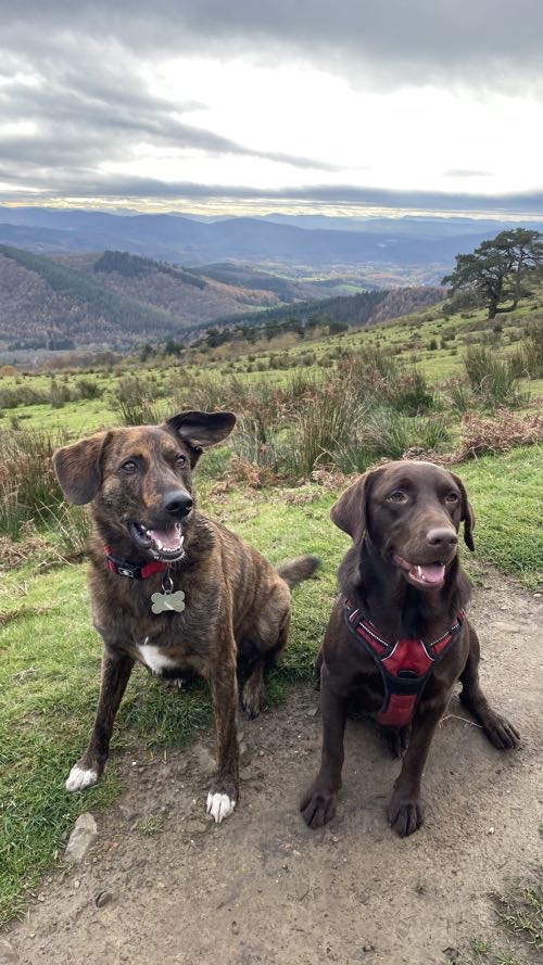 Foto de Rutas en Friendog