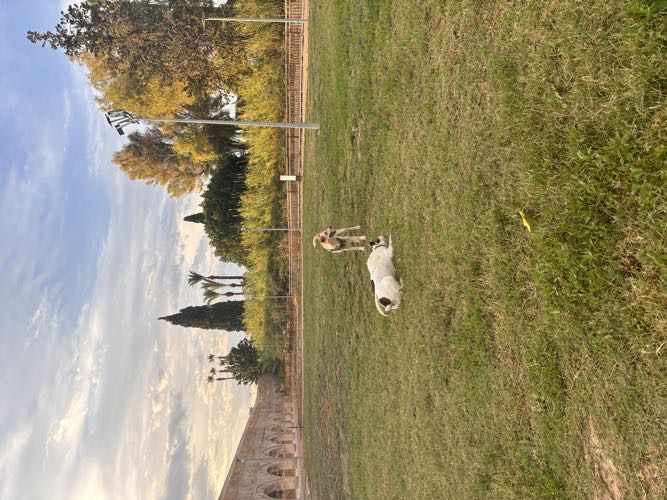 Foto de Parques en Friendog