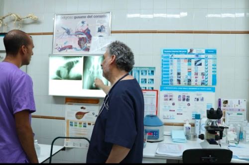 Foto de Veterinarios en Friendog
