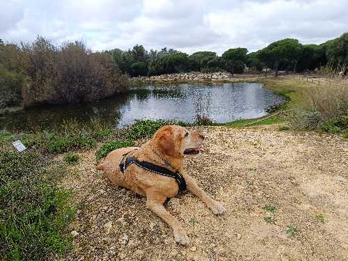 Foto de Rutas en Friendog