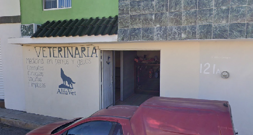 Foto de Veterinarios en Friendog
