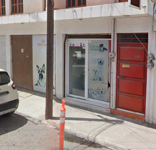 Foto de Veterinarios en Friendog