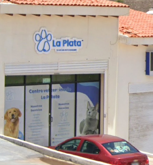 Foto de Veterinarios en Friendog