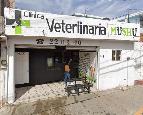 Foto de Veterinarios en Friendog