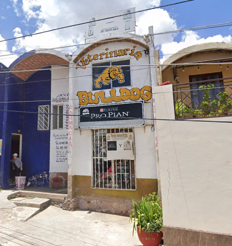 Foto de Veterinarios en Friendog